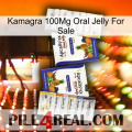 Kamagra 100Mg Oral Jelly For Sale 12